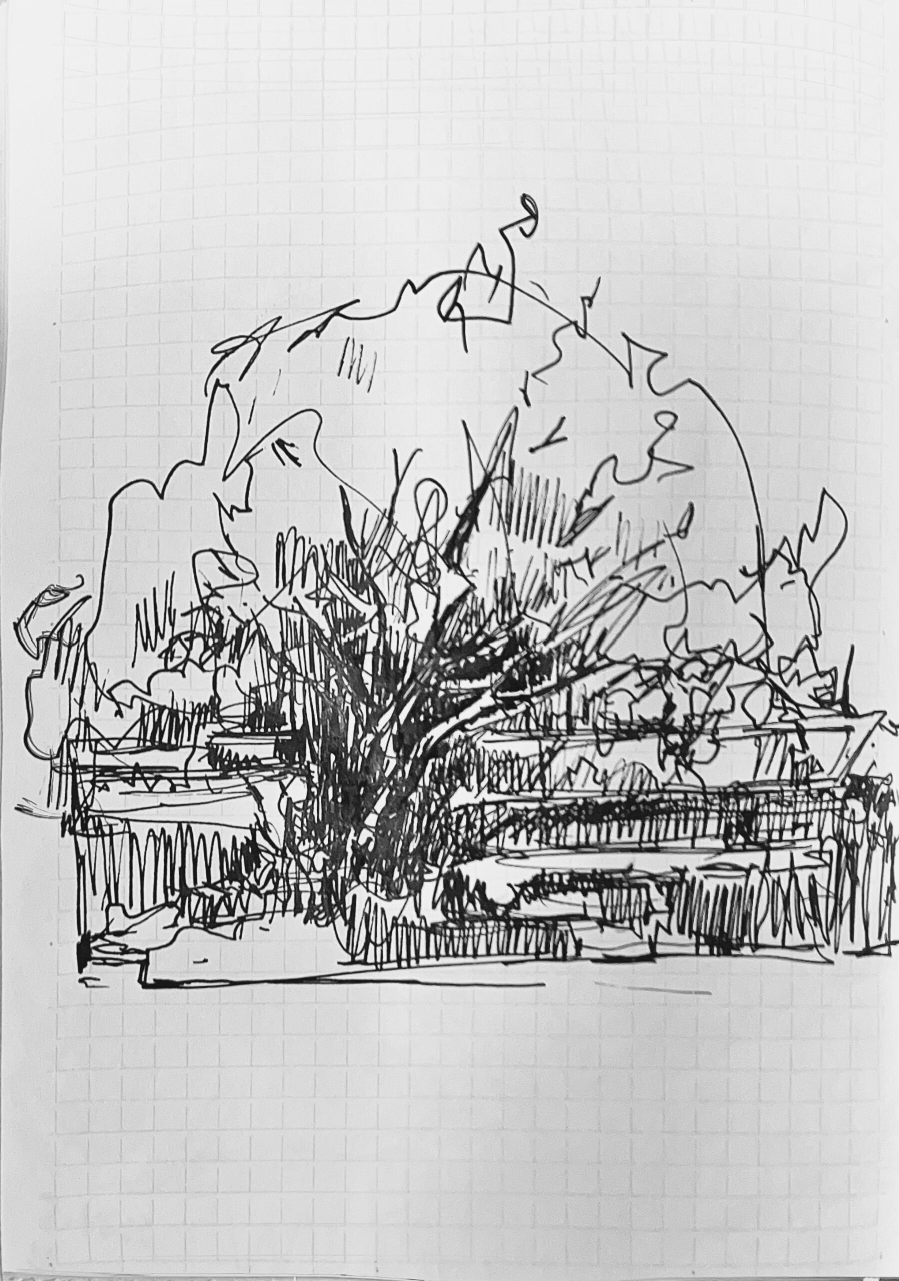 May 20, 2024 – Trees